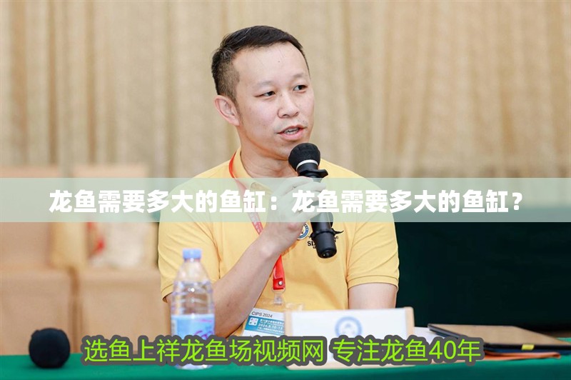 龍魚需要多大的魚缸：龍魚需要多大的魚缸？
