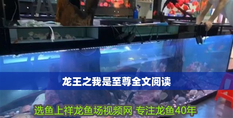 龍王之我是至尊全文閱讀