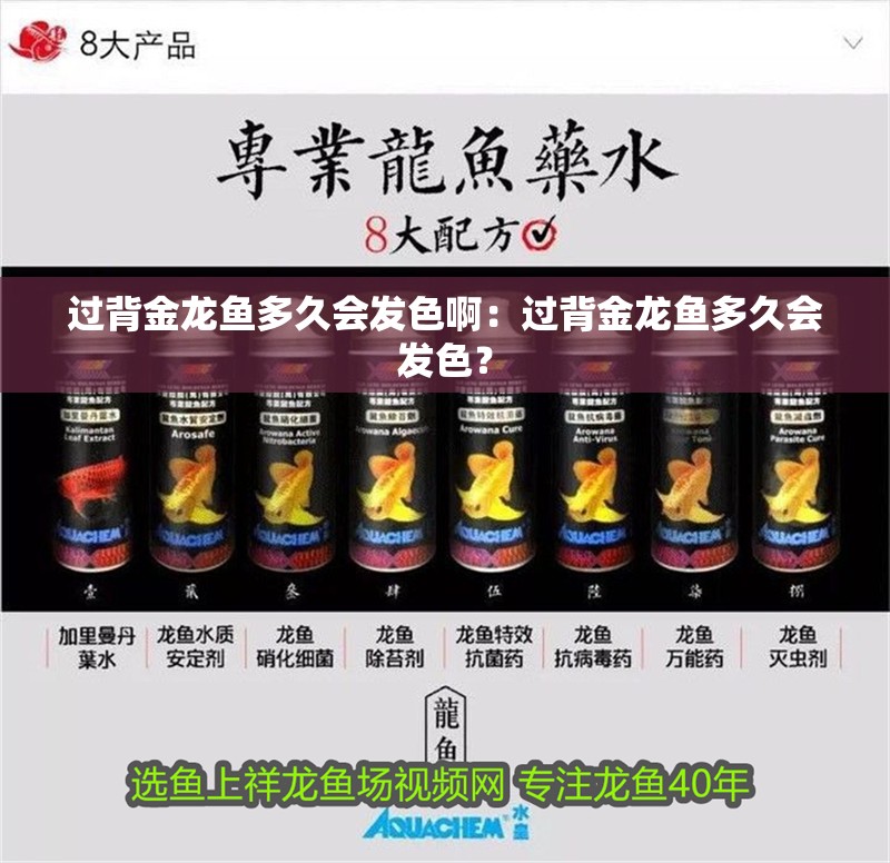 過背金龍魚多久會發(fā)色啊：過背金龍魚多久會發(fā)色？
