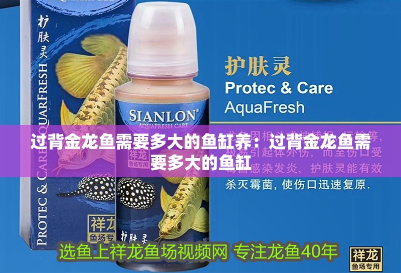 過背金龍魚需要多大的魚缸養(yǎng)：過背金龍魚需要多大的魚缸