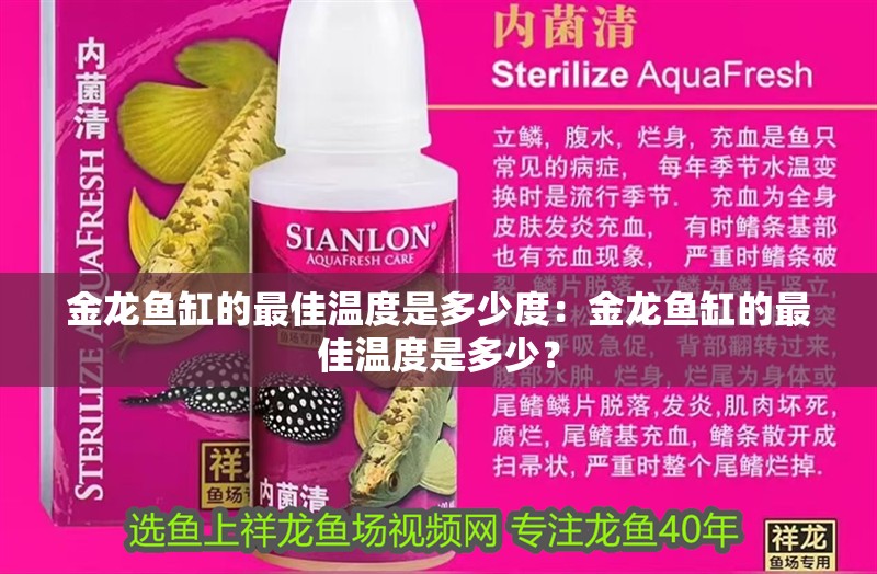 金龍魚缸的最佳溫度是多少度：金龍魚缸的最佳溫度是多少？