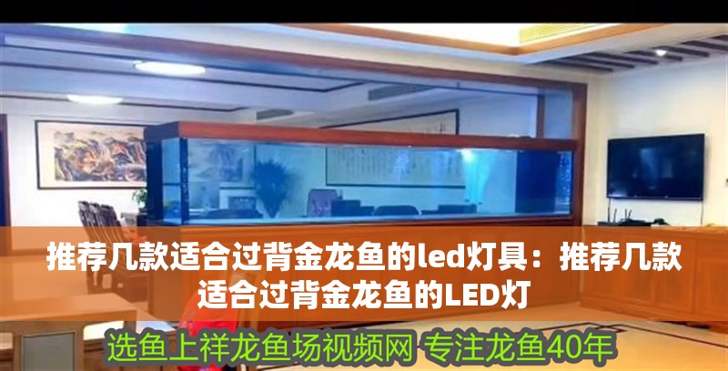 推薦幾款適合過背金龍魚的led燈具：推薦幾款適合過背金龍魚的LED燈