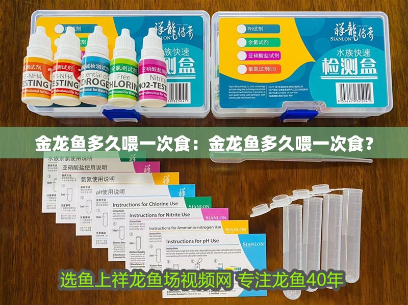 金龍魚多久喂一次食：金龍魚多久喂一次食？