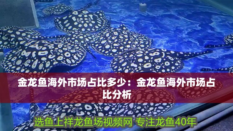 金龍魚(yú)海外市場(chǎng)占比多少：金龍魚(yú)海外市場(chǎng)占比分析