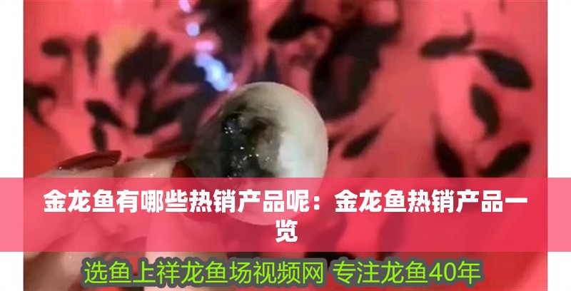金龍魚有哪些熱銷產(chǎn)品呢：金龍魚熱銷產(chǎn)品一覽