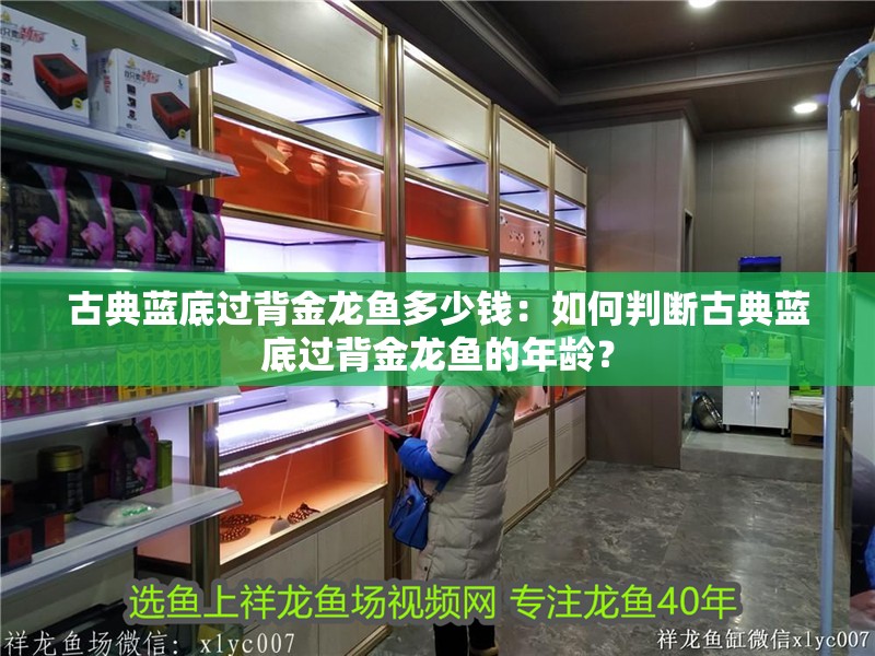 古典藍(lán)底過背金龍魚多少錢：如何判斷古典藍(lán)底過背金龍魚的年齡？