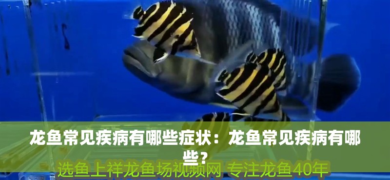 龍魚常見疾病有哪些癥狀：龍魚常見疾病有哪些？