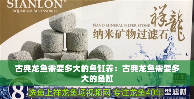 古典龍魚需要多大的魚缸養(yǎng)：古典龍魚需要多大的魚缸