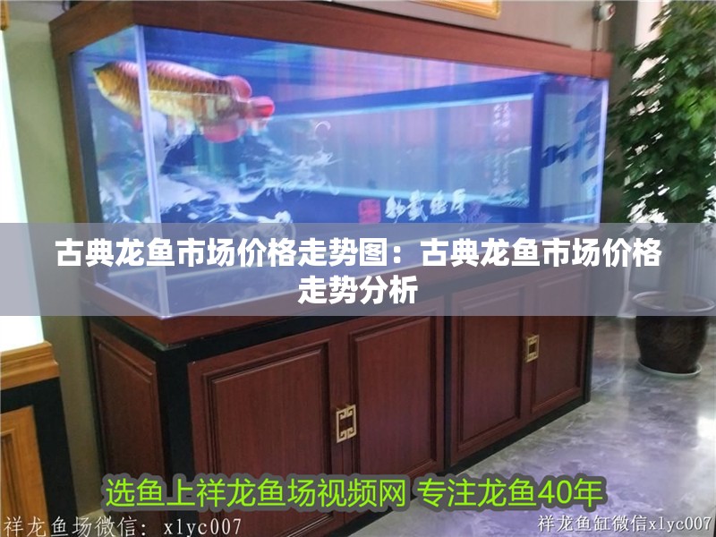 古典龍魚市場價格走勢圖：古典龍魚市場價格走勢分析