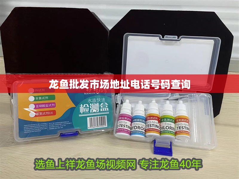 龍魚批發(fā)市場地址電話號碼查詢