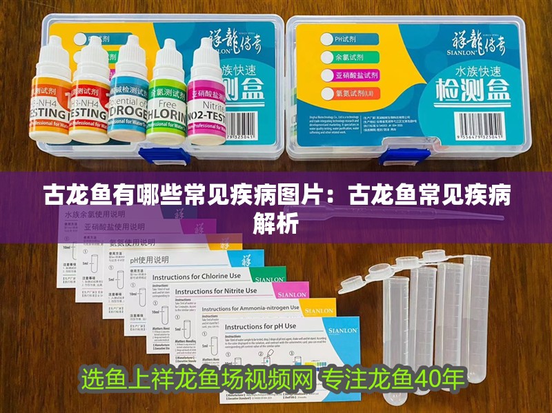 古龍魚有哪些常見疾病圖片：古龍魚常見疾病解析