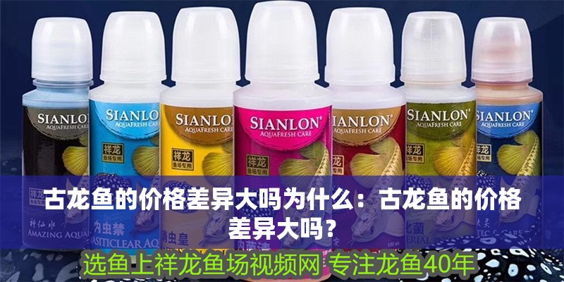 古龍魚的價格差異大嗎為什么：古龍魚的價格差異大嗎？