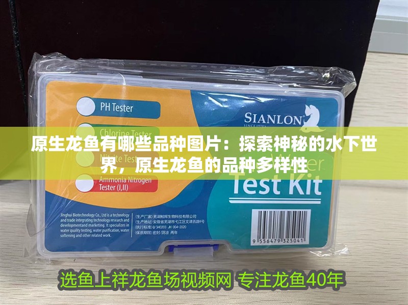 原生龍魚有哪些品種圖片：探索神秘的水下世界，原生龍魚的品種多樣性
