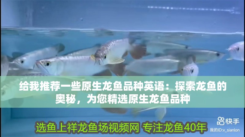 給我推薦一些原生龍魚品種英語：探索龍魚的奧秘，為您精選原生龍魚品種