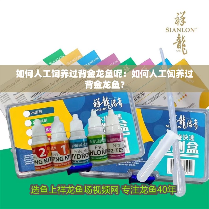 如何人工飼養過背金龍魚呢：如何人工飼養過背金龍魚？