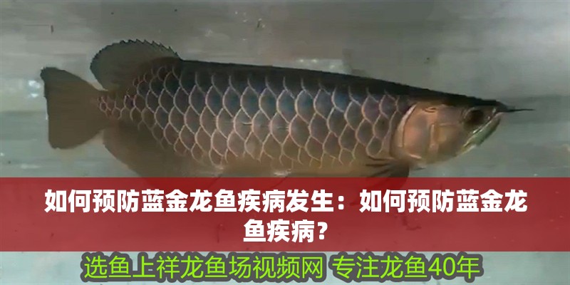 如何預防藍金龍魚疾病發生：如何預防藍金龍魚疾病？
