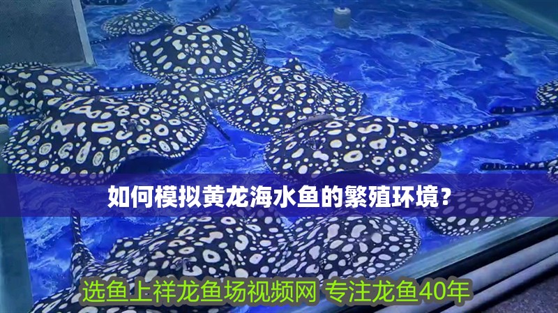 如何模擬黃龍海水魚的繁殖環(huán)境？