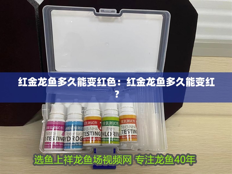 紅金龍魚多久能變紅色：紅金龍魚多久能變紅？