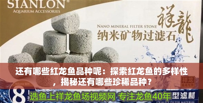 還有哪些紅龍魚品種呢：探索紅龍魚的多樣性，揭秘還有哪些珍稀品種？