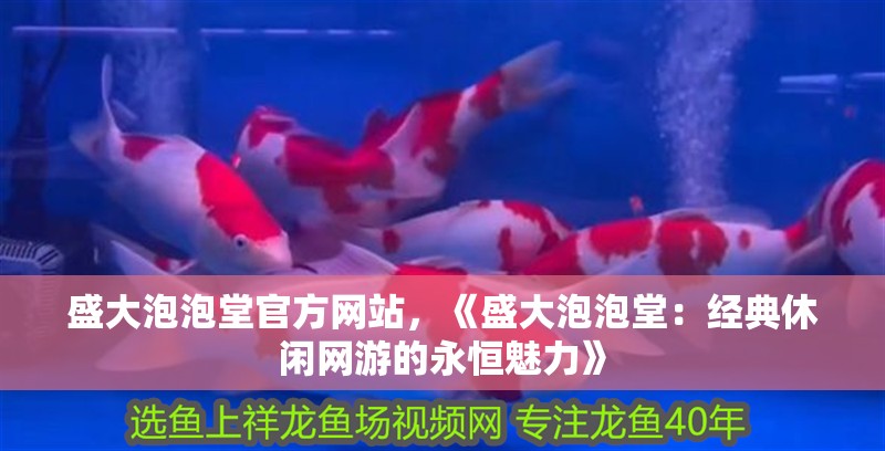 盛大泡泡堂官方網站，《盛大泡泡堂：經典休閑網游的永恒魅力》