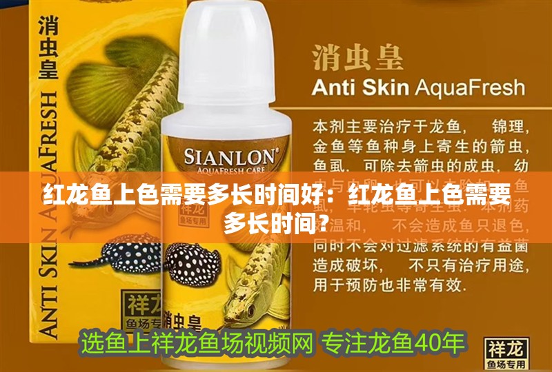 紅龍魚上色需要多長時間好：紅龍魚上色需要多長時間？