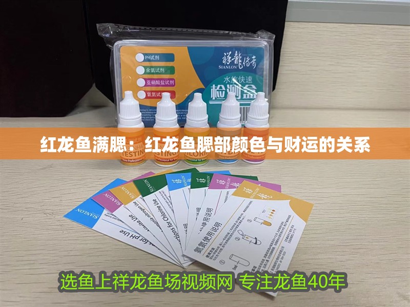 紅龍魚滿腮：紅龍魚腮部顏色與財運的關(guān)系
