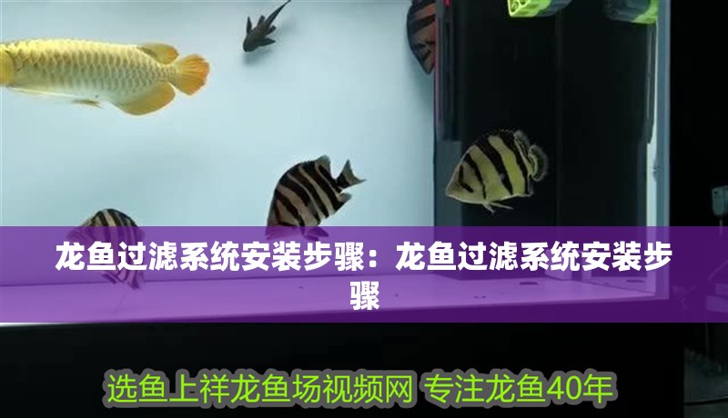 龍魚過(guò)濾系統(tǒng)安裝步驟：龍魚過(guò)濾系統(tǒng)安裝步驟