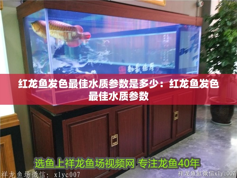 紅龍魚發(fā)色最佳水質(zhì)參數(shù)是多少：紅龍魚發(fā)色最佳水質(zhì)參數(shù)