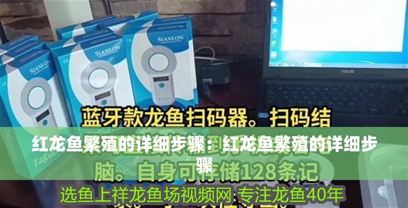 紅龍魚繁殖的詳細步驟：紅龍魚繁殖的詳細步驟