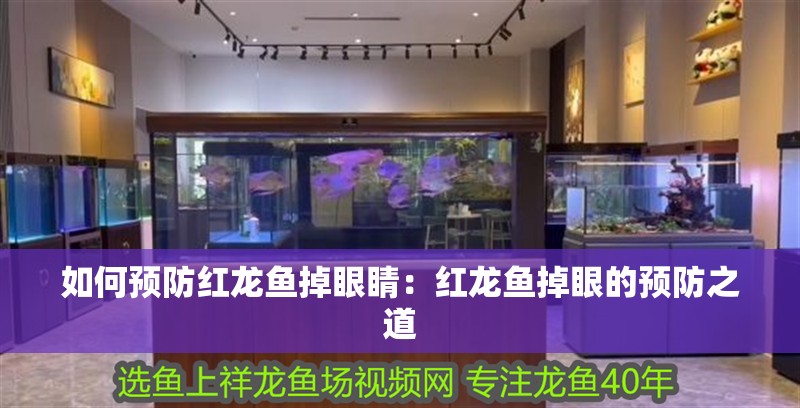如何預防紅龍魚掉眼睛：紅龍魚掉眼的預防之道