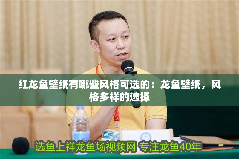 紅龍魚壁紙有哪些風格可選的：龍魚壁紙，風格多樣的選擇