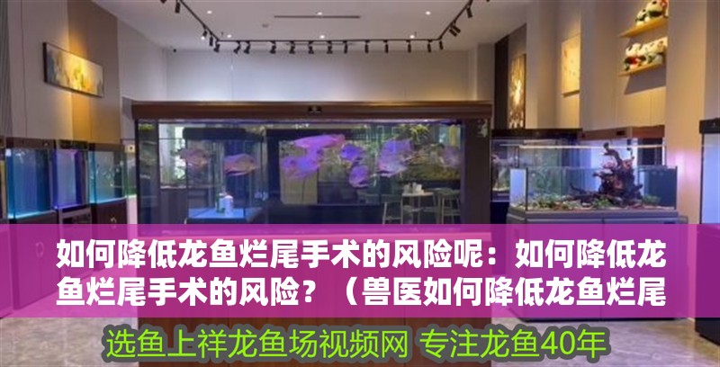 如何降低龍魚爛尾手術(shù)的風(fēng)險(xiǎn)呢：如何降低龍魚爛尾手術(shù)的風(fēng)險(xiǎn)？（獸醫(yī)如何降低龍魚爛尾手術(shù)的風(fēng)險(xiǎn)）