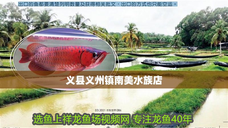 義縣義州鎮(zhèn)南美水族店