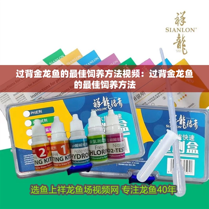 過背金龍魚的最佳飼養(yǎng)方法視頻：過背金龍魚的最佳飼養(yǎng)方法