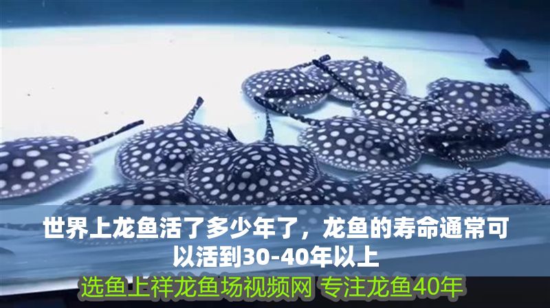 世界上龍魚活了多少年了，龍魚的壽命通常可以活到30-40年以上