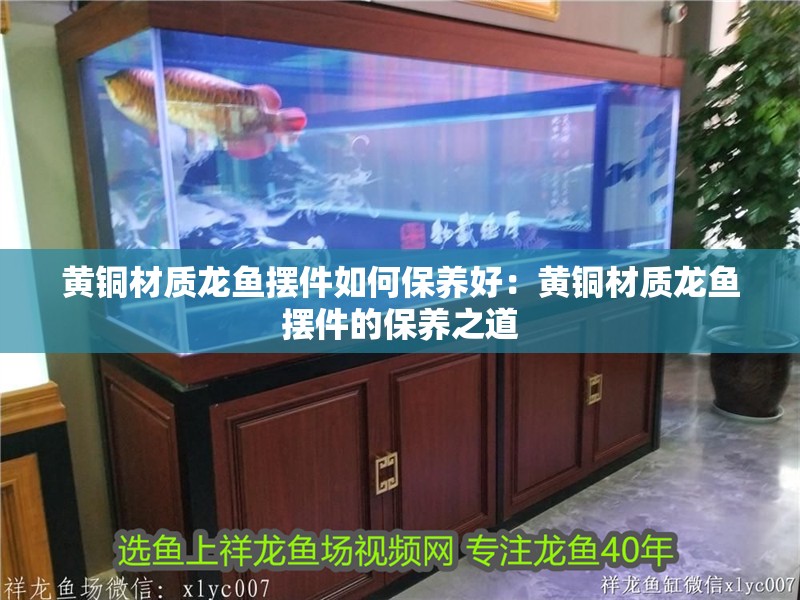 黃銅材質(zhì)龍魚(yú)擺件如何保養(yǎng)好：黃銅材質(zhì)龍魚(yú)擺件的保養(yǎng)之道