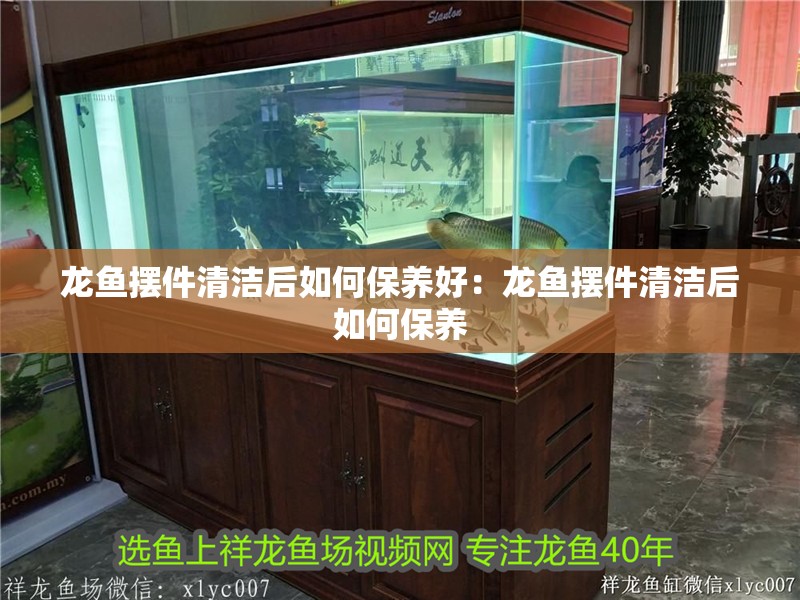龍魚擺件清潔后如何保養好：龍魚擺件清潔后如何保養