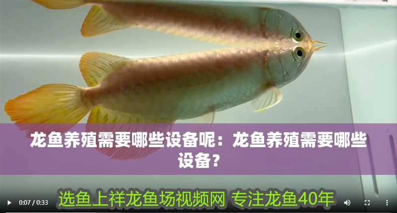 龍魚養殖需要哪些設備呢：龍魚養殖需要哪些設備？