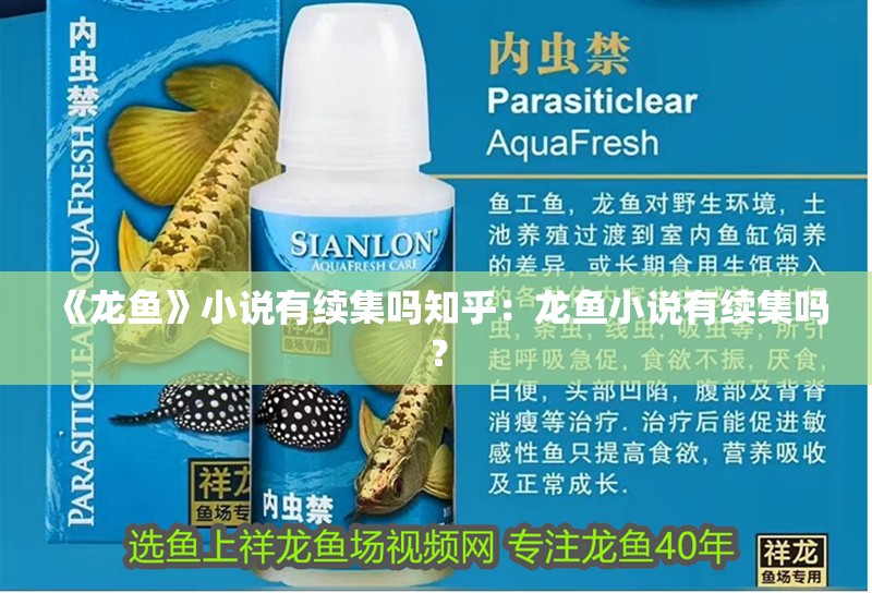 《龍魚》小說有續集嗎知乎：龍魚小說有續集嗎？
