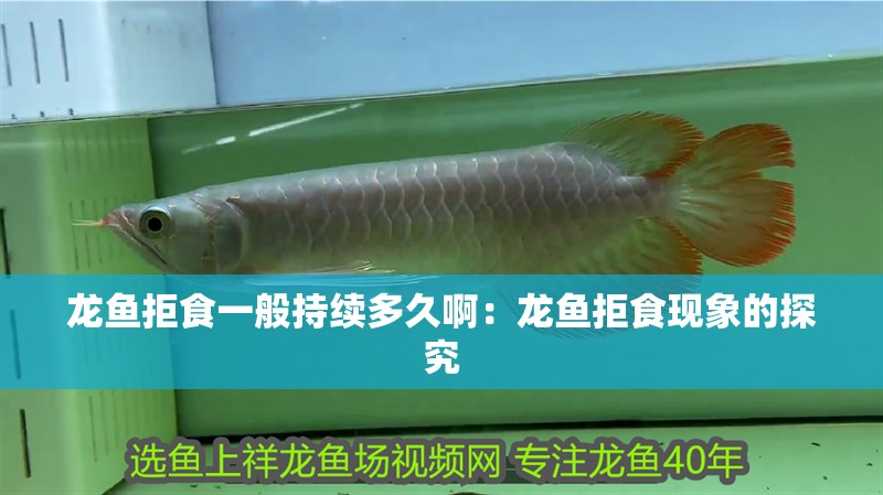 龍魚拒食一般持續多久啊：龍魚拒食現象的探究