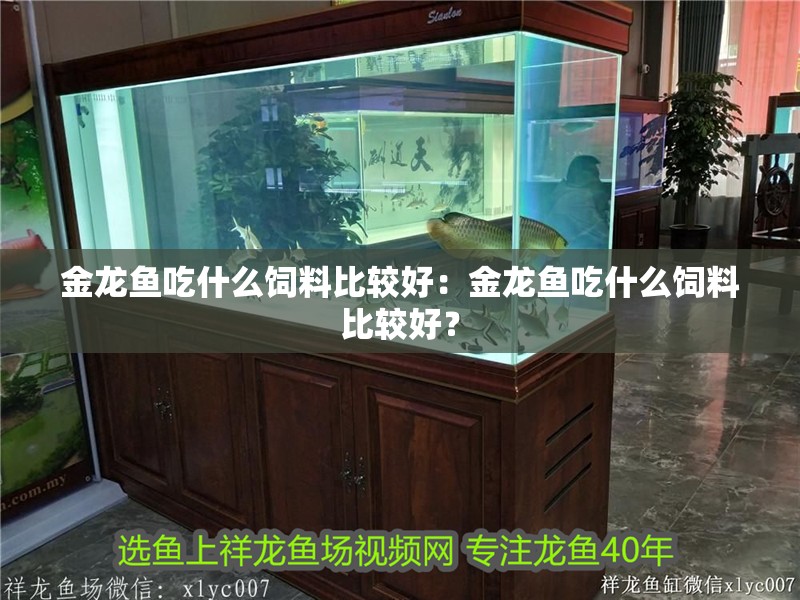 金龍魚吃什么飼料比較好：金龍魚吃什么飼料比較好？