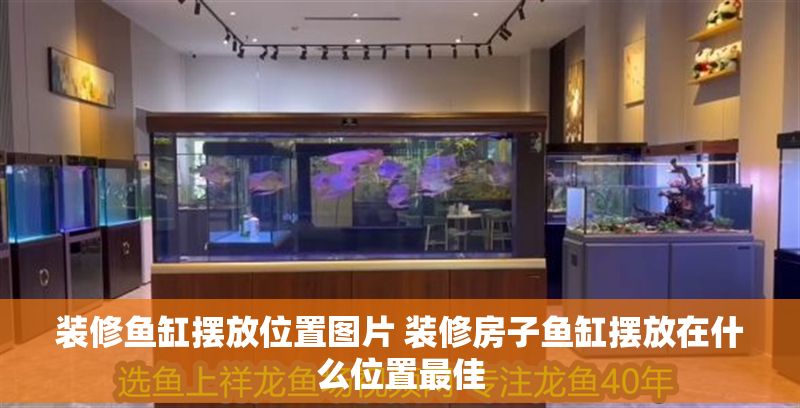 裝修魚缸擺放位置圖片 裝修房子魚缸擺放在什么位置最佳