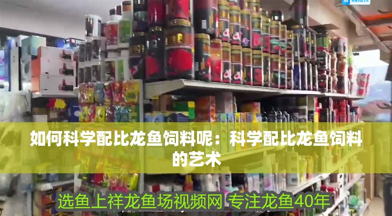 如何科學配比龍魚飼料呢：科學配比龍魚飼料的藝術