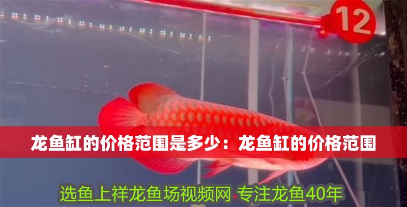 龍魚缸的價格范圍是多少：龍魚缸的價格范圍
