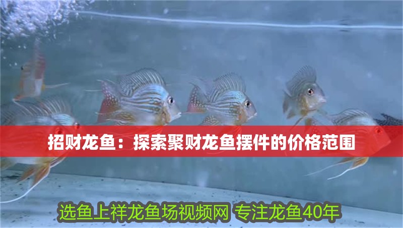招財龍魚：探索聚財龍魚擺件的價格范圍