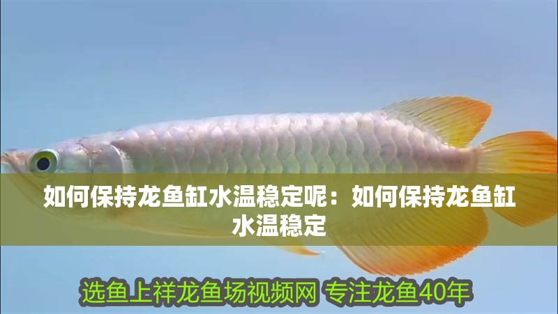 如何保持龍魚缸水溫穩(wěn)定呢：如何保持龍魚缸水溫穩(wěn)定