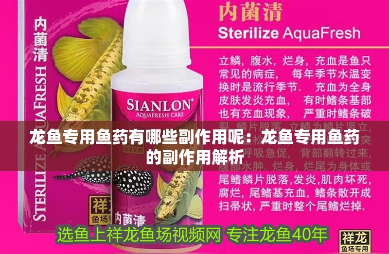龍魚專用魚藥有哪些副作用呢：龍魚專用魚藥的副作用解析