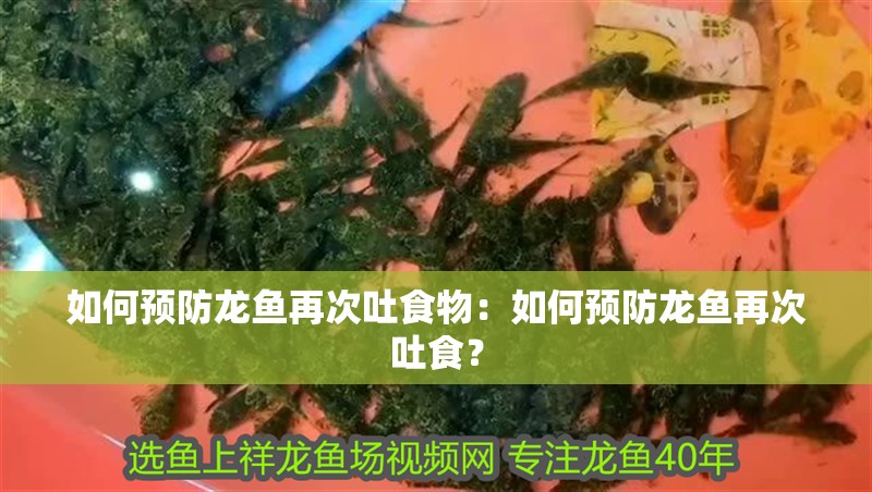 如何預防龍魚再次吐食物：如何預防龍魚再次吐食？