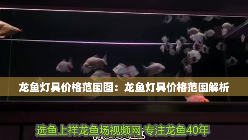 龍魚燈具價(jià)格范圍圖：龍魚燈具價(jià)格范圍解析