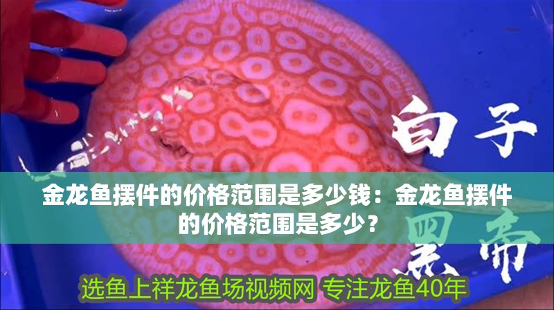 金龍魚擺件的價格范圍是多少錢：金龍魚擺件的價格范圍是多少？